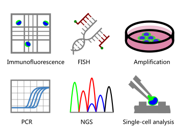 Celutriator Application