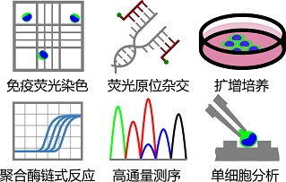 Celutriator应用场景示意图