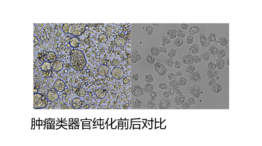 HACS应用场景示意图